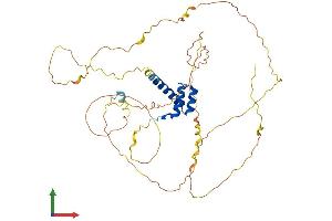 Protein Structure (PS) image for Homeobox B3 (HOXB3) (AA 1-433) protein (His tag) (ABIN7562768)