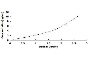 Typical standard curve (beta Arrestin 1 ELISA Kit)