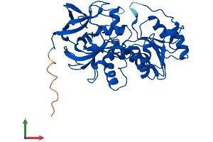 Protein Structure (PS) image for Alcohol Dehydrogenase 7 (Class IV), mu Or sigma Polypeptide (ADH7) (AA 1-386) protein (His tag) (ABIN7551982)