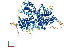 AlphaFold protein structure predicition of Human Recombinant DQX1 Protein, UniprotID Q8TE96