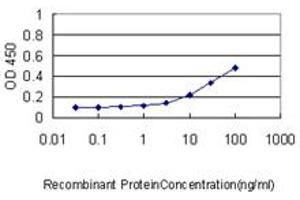 Detection limit for recombinant GST tagged BARX1 is approximately 0. (BARX1 Antikörper  (AA 1-100))