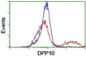 HEK293T cells transfected with either RC205435 overexpress plasmid (Red) or empty vector control plasmid (Blue) were immunostained by anti-DPP10 antibody (ABIN2455092), and then analyzed by flow cytometry. (DPP10 Antikörper)