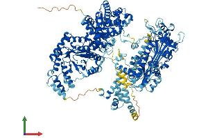 Protein Structure (PS) image for 5-Methyltetrahydrofolate-Homocysteine Methyltransferase (MTR) (AA 1-1265) protein (His tag) (ABIN7554552)