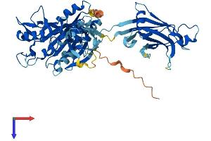 CPNE6 Protein (AA 1-557) (His tag)
