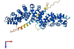 AlphaFold protein structure predicition of Human Recombinant TMCO6 Protein, UniprotID Q96DC7 (TMCO6 Protein (AA 1-493) (His tag))