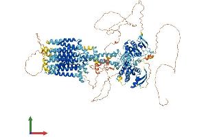 Protein Structure (PS) image for Adenylate Cyclase 9 (ADCY9) (AA 1-1353) protein (His tag) (ABIN7552007)