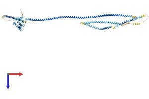 HOOK1 Protein (AA 1-728) (His tag)