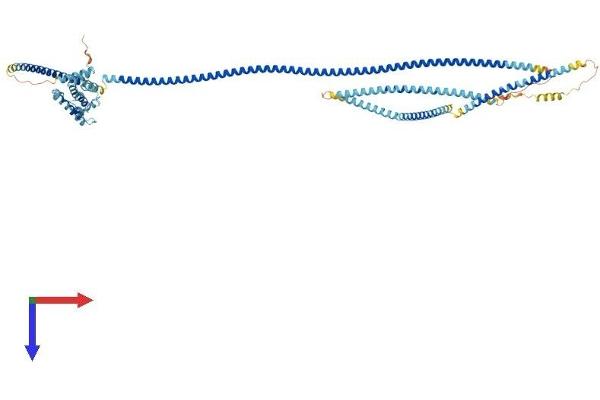 HOOK1 Protein (AA 1-728) (His tag)