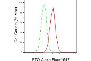 Flow cytometric analysis of FTO expression in HeLa cells using FTO antibody (ABIN7798579), 1:2,000). (FTO Antikörper)