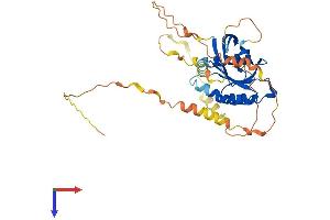 REM2 Protein (AA 1-340) (His tag)