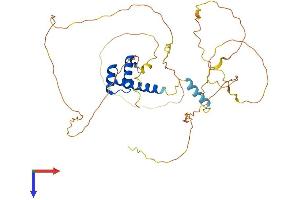 EVX1 Protein (EVX1) (AA 1-416) (His tag)