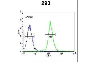 Flow cytometric analysis of 293 cells (right histogram) compared to a negative control cell (left histogram). (CDC45 Antikörper  (AA 236-263))
