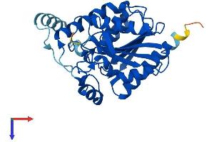 MGLL Protein (AA 1-303) (His tag)