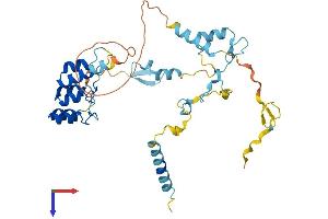 BAT4 Protein (AA 1-356) (His tag)
