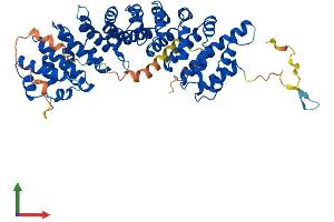 AlphaFold protein structure predicition of Mouse Recombinant Kpna1 Protein, UniprotID Q60960