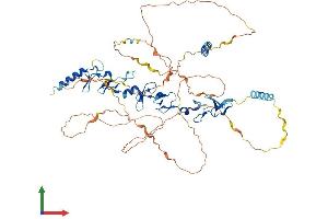 Protein Structure (PS) image for Lipoma-preferred partner (LPP) (AA 1-613) protein (His tag) (ABIN7564324)