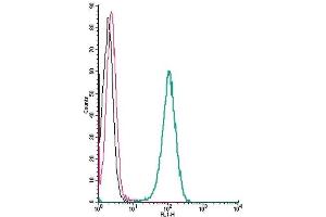 Cell surface detection of CXCR7 by indirect flow cytometry in live intact human THP-1 monocytic leukemia cells: (black line) Cells. (CXCR7 Antikörper  (Extracellular))