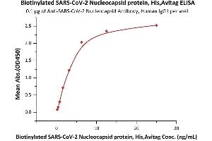 Immobilized A-CoV-2 Nucleocapsid Antibody, Human IgG1 (NUN-S41) at 1 μg/mL (100 μL/well) can bind Biotinylated SARS-CoV-2 Nucleocapsid protein, His,Avitag (ABIN6973237) with a linear range of 0.