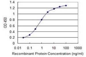 Detection limit for recombinant GST tagged SUPT16H is 0. (SUPT16H Antikörper  (AA 608-715))