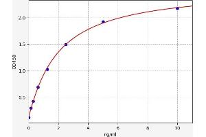 Typical standard curve
