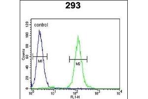 SUV4-20H2 Antibody (Center) (ABIN390405 and ABIN2840796) flow cytometric analysis of 293 cells (right histogram) compared to a negative control cell (left histogram).