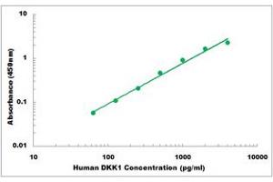 Representative Standard Curve (DKK1 ELISA Kit)