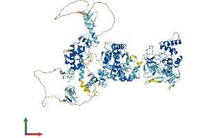 AlphaFold protein structure predicition of Mouse Recombinant Rnf31 Protein, UniprotID Q924T7 (RNF31 Protein (AA 1-1066) (His tag))