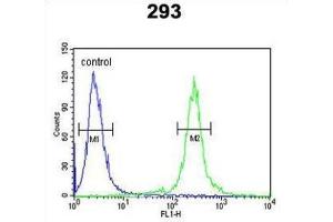 Flow Cytometry (FACS) image for anti-Transcription Elongation Regulator 1-Like (TCERG1L) antibody (ABIN3003948)