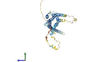 Protein Structure (PS) image for G Protein-Coupled Receptor 62 (GPR62) (AA 1-368) protein (His tag) (ABIN7548097)