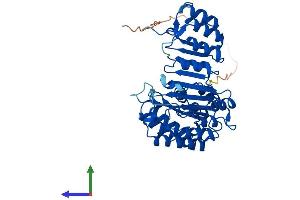 FBXL21 Protein (AA 1-434) (His tag)