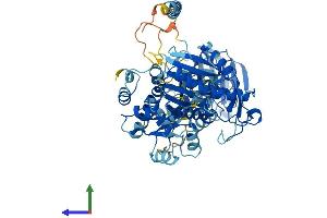 Protein Structure (PS) image for DEAD (Asp-Glu-Ala-Asp) Box Polypeptide 1 (DDX1) (AA 1-740) protein (His tag) (ABIN7553662)