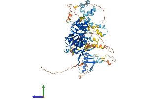 Protein Structure (PS) image for DDHD Domain Containing 2 (DDHD2) (AA 1-711) protein (His tag) (ABIN7553674)