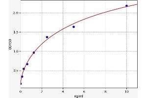 Occludin ELISA Kit