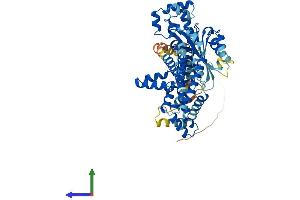 AlphaFold protein structure predicition of Human Recombinant FAM200A Protein, UniprotID Q8TCP9