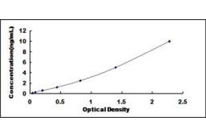 Typical standard curve (TRPM1 ELISA Kit)