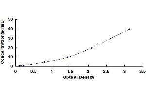 Typical standard curve (PLA2G7 ELISA Kit)