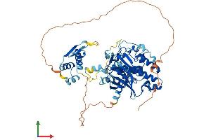 Protein Structure (PS) image for Adenosine Deaminase Domain Containing 1 (Testis-Specific) (ADAD1) (AA 1-576) protein (His tag) (ABIN7551925)