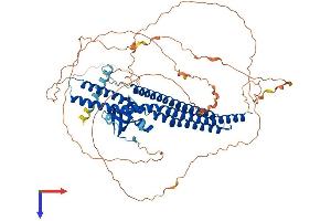 Amphiphysin Protein (AMPH) (AA 1-686) (His tag)