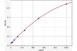 Chemokine (C-X-C Motif) Ligand 2 (CXCL2) ELISA Kit