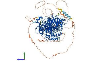 AlphaFold protein structure predicition of Human Recombinant GTF3C2 Protein, UniprotID Q8WUA4