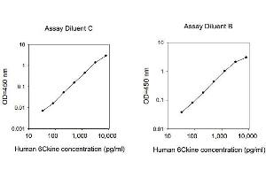 ELISA image for Chemokine (C-C Motif) Ligand 21 (CCL21) ELISA Kit (ABIN1979905) (CCL21 ELISA Kit)