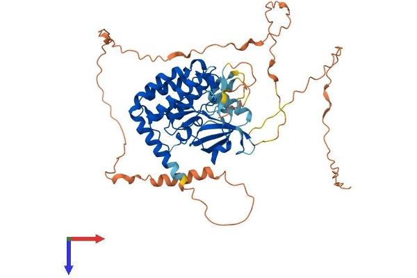 RIPK3 Protein (AA 1-518) (His tag)