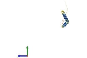 Protein Structure (PS) image for Transcription Elongation Factor A (SII)-Like 7 (TCEAL7) (AA 1-98) protein (His tag) (ABIN7561989)