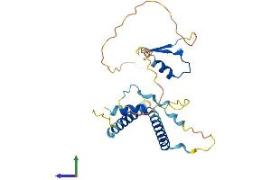 Protein Structure (PS) image for Lin-37 Homolog (LIN37) (AA 1-246) protein (His tag) (ABIN7549089)