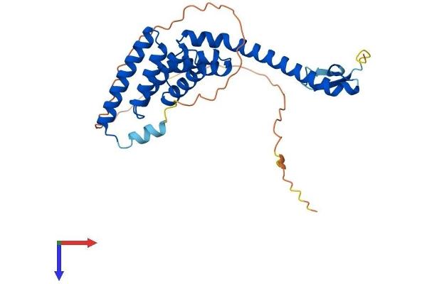 TTC1 Protein (AA 1-292) (His tag)