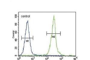 CLDN16 Antibody (N-term) (ABIN654394 and ABIN2844136) flow cytometric analysis of MDA-M cells (right histogram) compared to a negative control cell (left histogram). (Claudin 16 Antikörper  (N-Term))