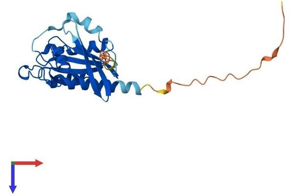 RAB3A Protein (AA 1-220) (His tag)