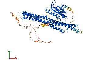AlphaFold protein structure predicition of Mouse Recombinant Snx30 Protein, UniprotID Q8CE50