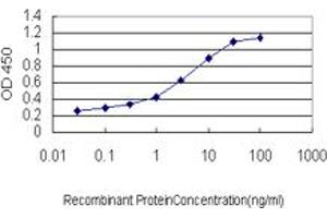 Detection limit for recombinant GST tagged AHCYL1 is approximately 0. (AHCYL1 Antikörper  (AA 1-101))