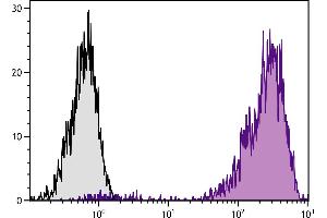 Human peripheral blood lymphocytes were stained with Mouse Anti-Human CD44-PE.